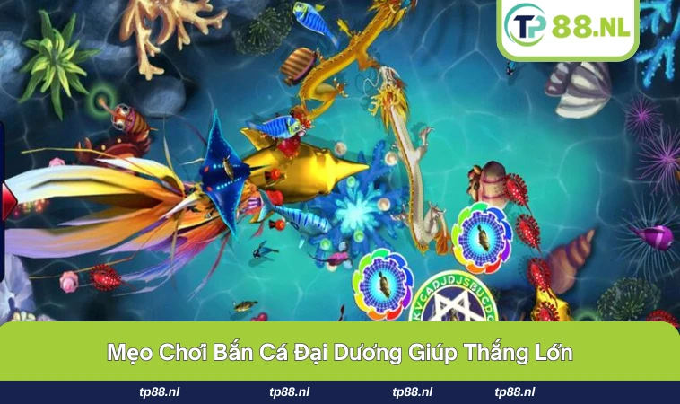 Bắn Cá Đại Dương - Trò Chơi Săn Thưởng Đỉnh Cao Nhất 3 Mẹo canh thời điểm bắn cá boss để nhận thưởng lớn.