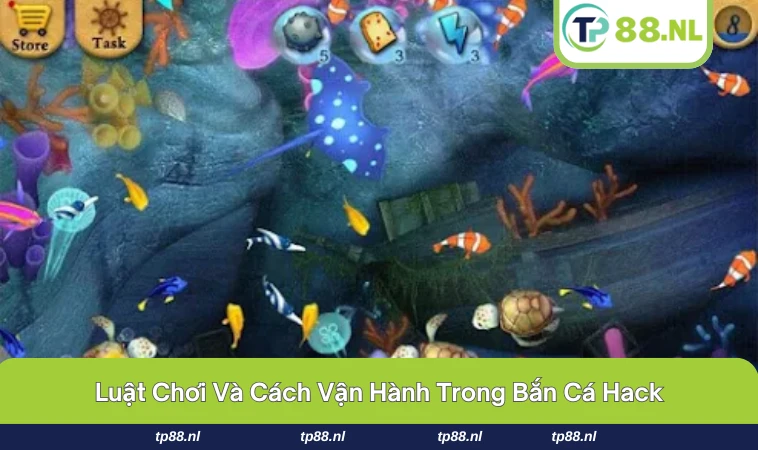Bắn Cá Hack - Hãy Cùng Khám Phá Sự Thật Bí Ẩn Đằng Sau 2 Bảng điểm nhìn hấp dẫn nhưng có thể là ảo