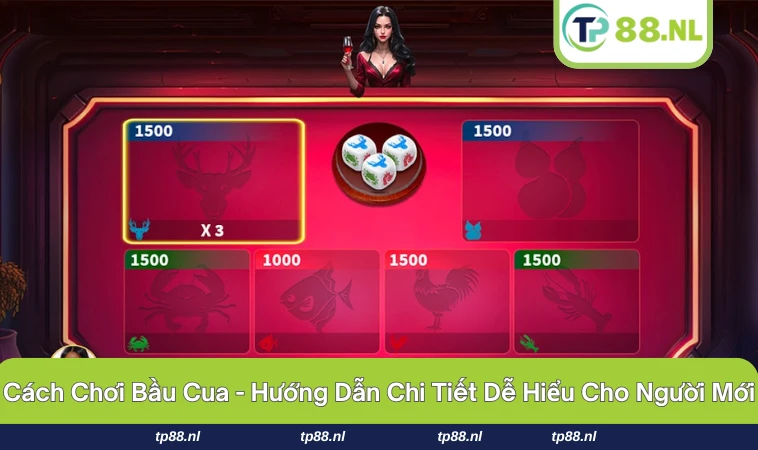 cách chơi bầu cua