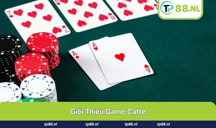 Cách Chơi Catte - Hướng Dẫn Cho Người Mới Dễ Hiểu Nhất 1 Hình ảnh bộ bài và bàn chơi Catte truyền thống.