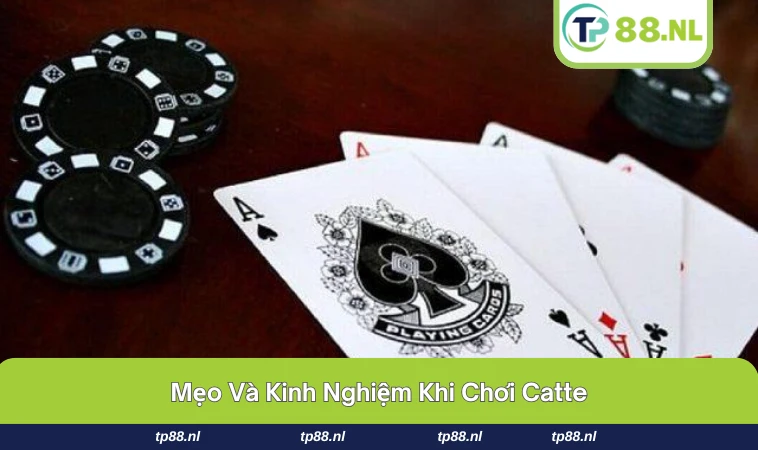Cách Chơi Catte - Hướng Dẫn Cho Người Mới Dễ Hiểu Nhất 3 Mẹo ghi nhớ bài và giữ tâm lý vững vàng khi chơi Catte.