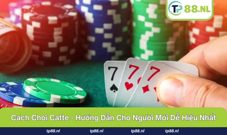 Cách Chơi Catte
