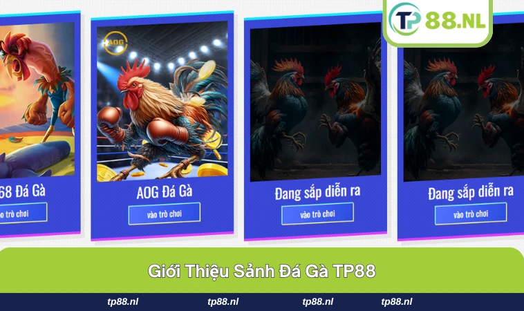 Đá Gà TP88 1 Không khí sảnh đá gà TP88 trực tuyến sôi động và chân thực.