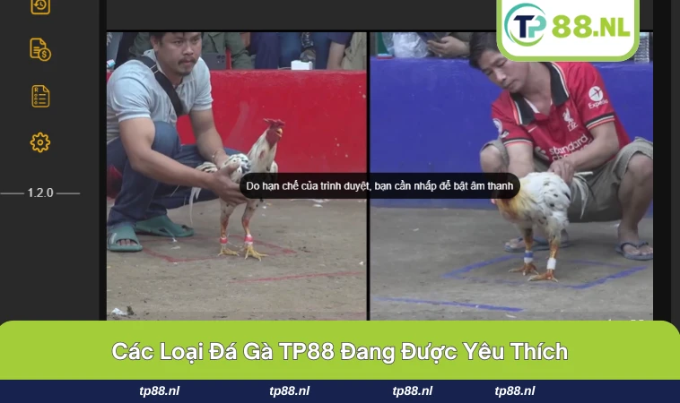 Đá Gà TP88 2 Giao diện chọn trận đấu trong đá gà hiện đại và dễ sử dụng.