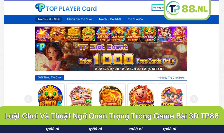 Game Bài 3D TP88 2 Một số thuật ngữ thường gặp trong game bài 3D tại TP88