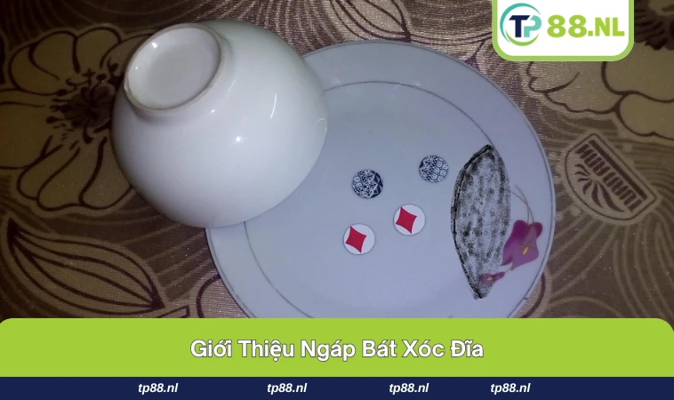 Ngáp Bát Xóc Đĩa - Bật Mí Bí Quyết Cao Thủ Hiệu Quả Nhất 1 Các cao thủ thường chú tâm quan sát bát xóc đĩa.