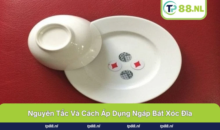 Ngáp Bát Xóc Đĩa - Bật Mí Bí Quyết Cao Thủ Hiệu Quả Nhất 2 Các cao thủ thường áp dụng mẹo khi tham gia chơi.