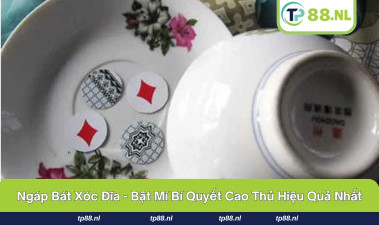 Ngáp bát xóc đĩa