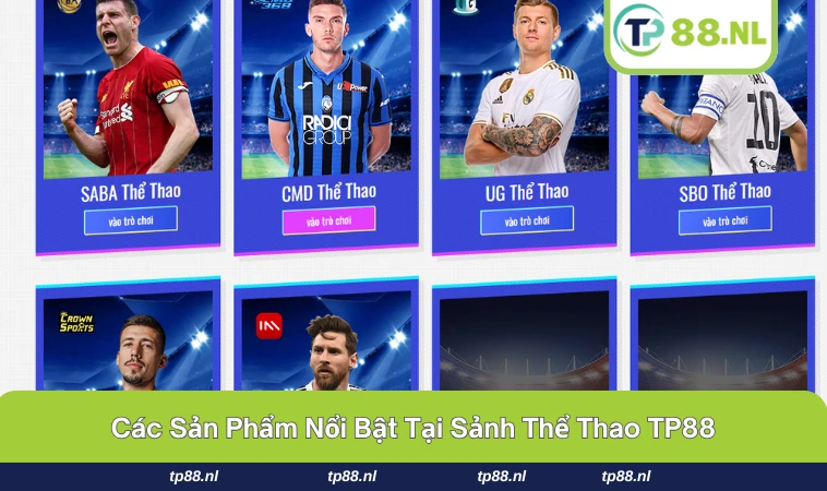 Thể Thao TP88 2 Tỷ lệ kèo và bảng cược tại thể thao TP88 luôn rõ ràng, minh bạch.