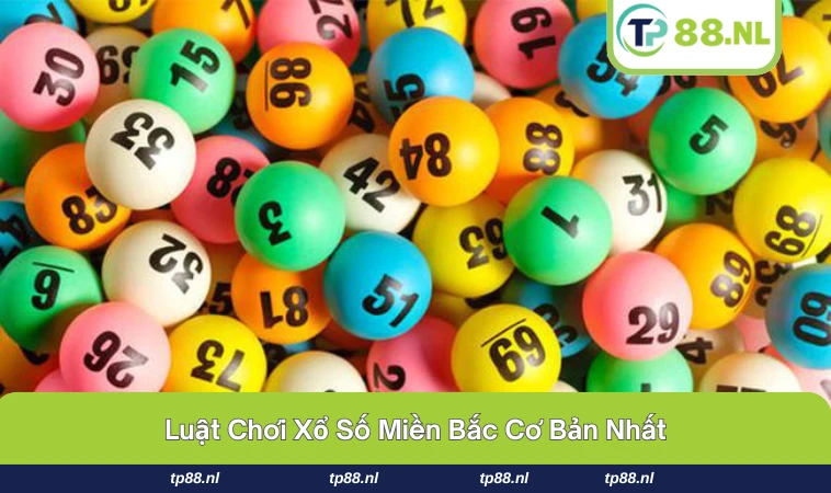 Xổ Số Miền Bắc - Hướng Dẫn Chi Tiết Dành Cho Người Mới 2 Người chơi cần có kết quả xổ số phía Bắc.