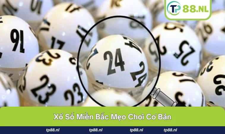 Xổ Số Miền Bắc - Hướng Dẫn Chi Tiết Dành Cho Người Mới 3 Thống kê kết quả xổ số phía Bắc để chọn số hợp lý.