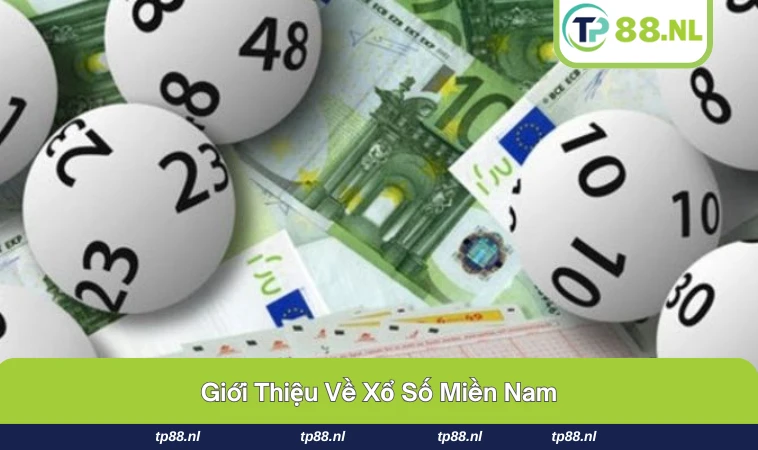 Xổ Số Miền Nam - Hướng Dẫn Cách Chơi Dành Cho Người Mới 1 Vé xổ số phía Nam với các con số mở thưởng.