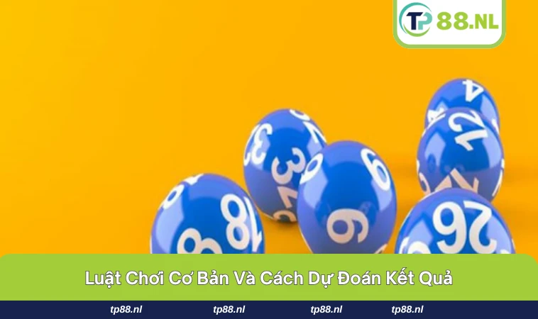 Xổ Số Miền Nam - Hướng Dẫn Cách Chơi Dành Cho Người Mới 2 Kết quả quay xổ số luôn công khai và minh bạch.